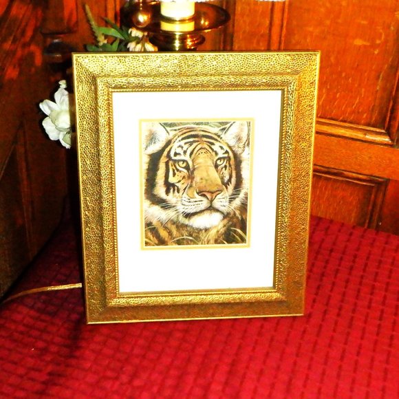 Amazing Professionally Framed ~~~ TIGER ~~~ - Picture 1 of 1
